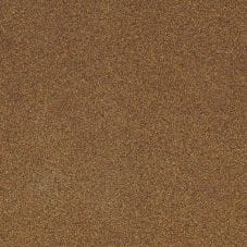 Sahara Bronze