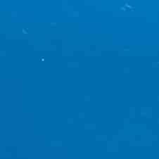 Cosmos Blue