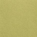 Colima Lime Metallic