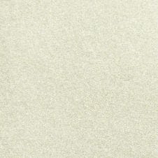Brilliant Silver Metallic