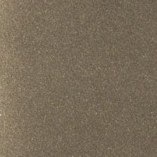 Frozen Bronze Metallic