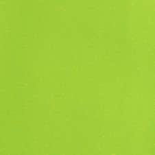 Nitro Lime Metallic