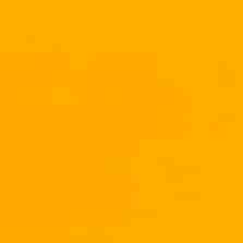 Broom Yellow