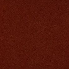 Bronze Fire Metallic