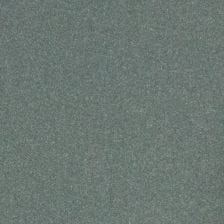 Light Steel Gray Metallic