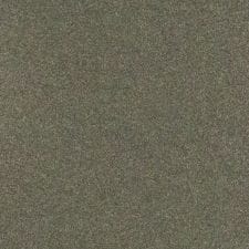 Shark Gray Metallic