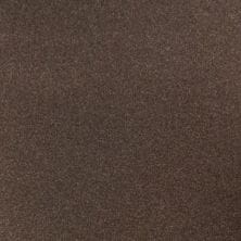 Toasted Walnut Pearl