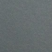 Parisian Gray