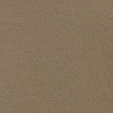 Marrakesh Beige