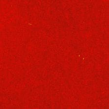 Some Like It Hot Red Metallic