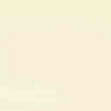 Designer White