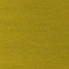 Austin Yellow Metallic