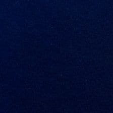 Blue Avatar