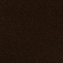 Cocoa Brown Metallic