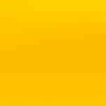 Rally Yellow