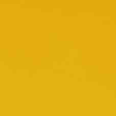 Speed Yellow