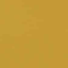 Curry Yellow 