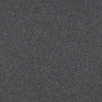 Coliseum Gray