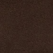 Ristretto Brown Metallic