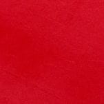 Sport Red