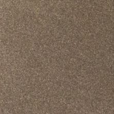 Chroma Molten Gold Metallic