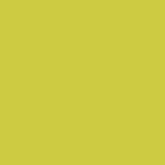 Euro Yellow Pearl  Y-62P