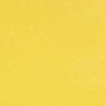 Sunflower Yellow