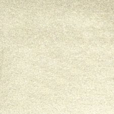 Millennium Silver Metallic