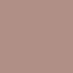 Sand Dollar Pearl