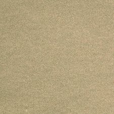 Arizona Beige Metallic