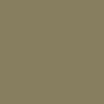 Light Khaki Metallic