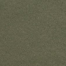 Cypress Pearl