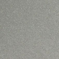 Silver Gray Metallic