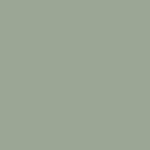 Titanium Silver Metallic
