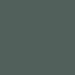 Gray Lustre Metallic