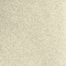 Silver Pearl Metallic