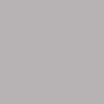 Platinum Metallic
