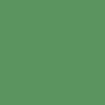 Rainforest Green Mica