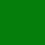 Amazon Green Metallic