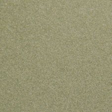 Desert Sage