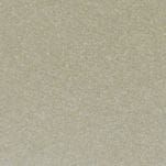 True Silver Metallic