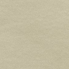 Mineral Silver Metallic
