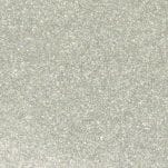 Sunlight Silver Metallic