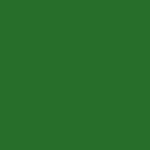 Polo Green Metallic