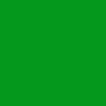 Fernmist Green Metallic