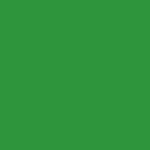Meadow Green Metallic