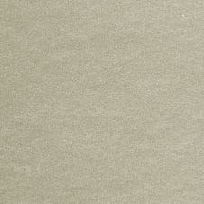 Moonbeam Beige Metallic