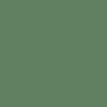 Evergreen Pearl G-510P
