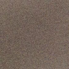 Pacific Pewter Metallic