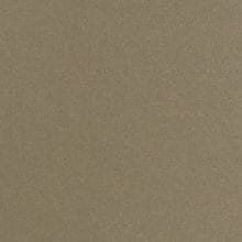 Champagne Quartz Metallic